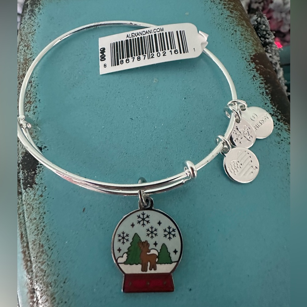 ❄️ NWT Alex and Ani Charm Bangle in Snow Globe, Shiny Silver ❄️